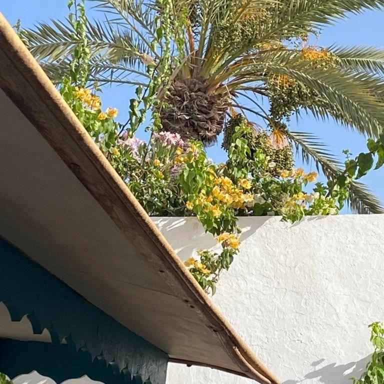 Djerbahouch Villa Midoun Luaran gambar